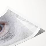 Extra large wall art featuring line art flowers in muted green and white tones on a rolled print.