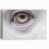 Black and white photo of a bird on stretched canvas, ideal for kitchen wall art.