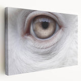 Close-up image of a bird on a stretched canvas, featuring natural colors, ideal for kitchen wall art.