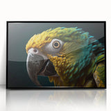 Framed acrylic print featuring a large abstract depiction of birds in black and white, ideal for modern art wall decor.