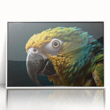 Art deco poster of vibrant birds in flight, framed acrylic, ideal for nursery wall art.