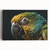 Black and white photo of a bird perched on a branch, printed on large stretched canvas, ideal for kitchen wall art.