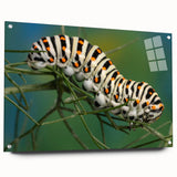 Acrylic print of a large abstract bird design in vibrant colors, ideal for bedroom or dining room decor.