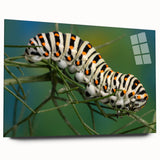 Large abstract wall art featuring a close-up of a bird in muted earth tones on acrylic glass.