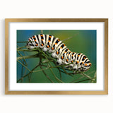 Extra large abstract art print featuring textured birds in motion, rendered in neutral shades, framed in gold.