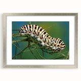 Textured art print of abstract birds in silver frame, using cool gray and blue tones, perfect for bedroom art.