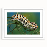 Abstract art print of birds in flight, using soft gray and white tones on a framed canvas.