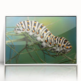 Art deco poster of a bird in flight, executed in soft pastels on framed acrylic, suited for nursery wall art.