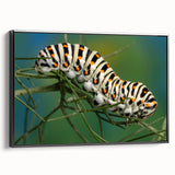 Black and white wall art featuring a detailed bird design on a framed canvas, ideal for bedroom ambiance.