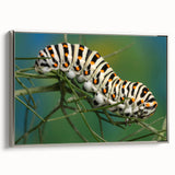 Framed canvas featuring a landscape art painting of colorful birds in flight, set against a black background.