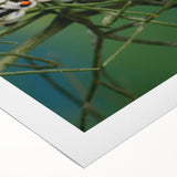 Art deco poster featuring a close-up of a vibrant bird on rolled canvas, suitable for dining room or bathroom decor.