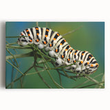 Black and white photo of birds in flight on stretched canvas, suitable for kitchen wall art.