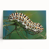 Black and white photo of a bird on stretched canvas, ideal for kitchen wall art or bedroom ambiance.