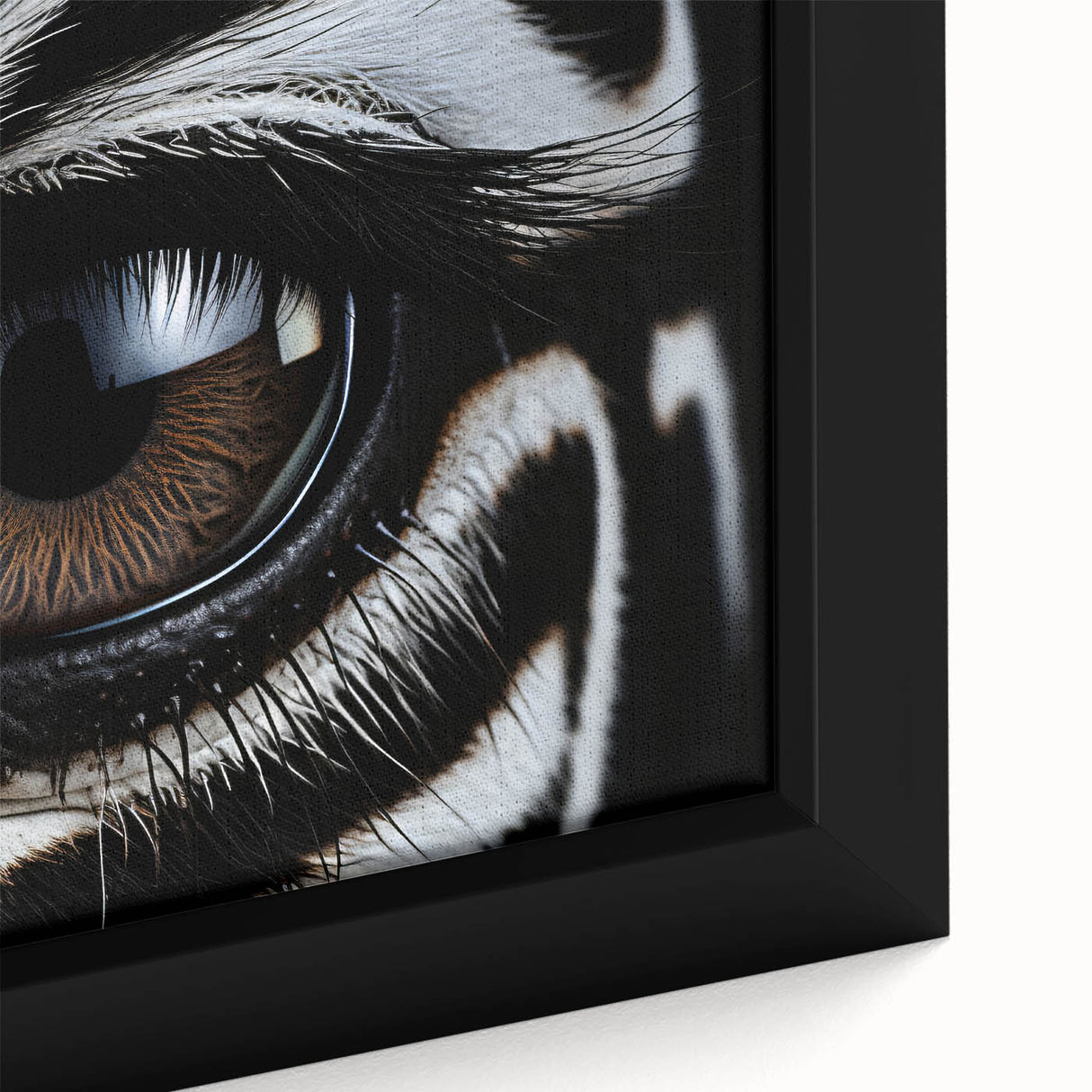 Extra large black wall art featuring a close-up of a colorful bird on textured canvas, ideal for living room decor.