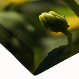 Black and white photo of a bird in flight on large canvas, ideal for bedroom wall art.