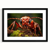 Extra large textured abstract art print of colorful birds, in a black frame with mat, ideal for living room decor.