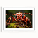 Abstract art print of a bird in muted earth tones on a white-framed canvas, suitable for bedroom or dining room decor.