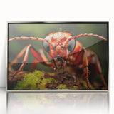 Mid-century modernist art featuring a close-up of a bird in muted earth tones, framed acrylic, suitable for nursery wall art.