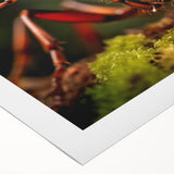 Art deco poster of a vibrant, stylized peacock on rolled canvas, ideal for dining room wall art.