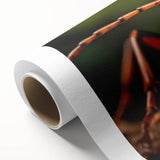 Art deco poster of colorful birds on a branch, printed on rolled canvas, ideal for nursery wall art or dining room decor.