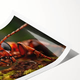 Extra large wall art featuring line art flowers in black and white, ideal for large living room decor.