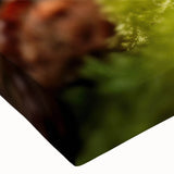 Large art of a black and white close-up bird image on stretched canvas, suitable for bedroom wall decor.