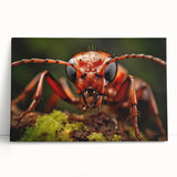 Black and white photo of a bird on a branch, printed on large stretched canvas, suitable for kitchen or bedroom wall art.