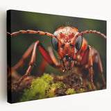 A close-up image of a bird on stretched canvas, featuring detailed plumage in earth tones, ideal for kitchen wall art.