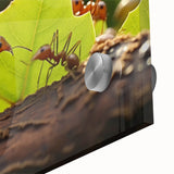 Large abstract wall art of a bird in mid-century modernist style with vibrant colors on acrylic glass.