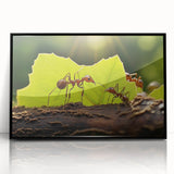 Large abstract wall art depicting a mid-century modernist bird design in muted earth tones on framed acrylic.