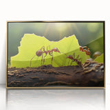 Mid-century modernist acrylic print of birds in flight on a gold frame, in muted earth tones, suitable for nursery wall art.