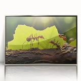 Mid-century modernist art of a bird in muted earth tones on a framed acrylic, ideal for nursery wall decor.