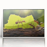 Art deco poster of a bird in flight on a white acrylic frame, with soft gray and blue tones, ideal for nursery wall decor.