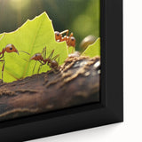 Close-up of a colorful bird on black textured canvas, ideal for extra large living room wall art.