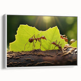 Vintage poster art of a colorful bird, rendered in vibrant hues on a large framed canvas, ideal for living room decor.