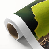 Art Deco poster of vibrant birds in flight on rolled canvas, ideal for nursery wall art or dining room decor.