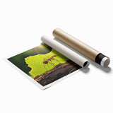 Extra large rolled print of a close-up bird in muted green and brown tones, ideal for classy bathroom wall art.