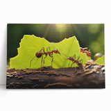Black and white close-up photo of a bird on stretched canvas, ideal for kitchen wall art or bedroom decor.