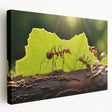 Close-up image of a bird on stretched canvas, featuring natural tones, ideal for kitchen wall art.