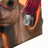 Close-up of a bird in soft pastel shades on acrylic glass, ideal for dining room art in a mid-century modernist style.