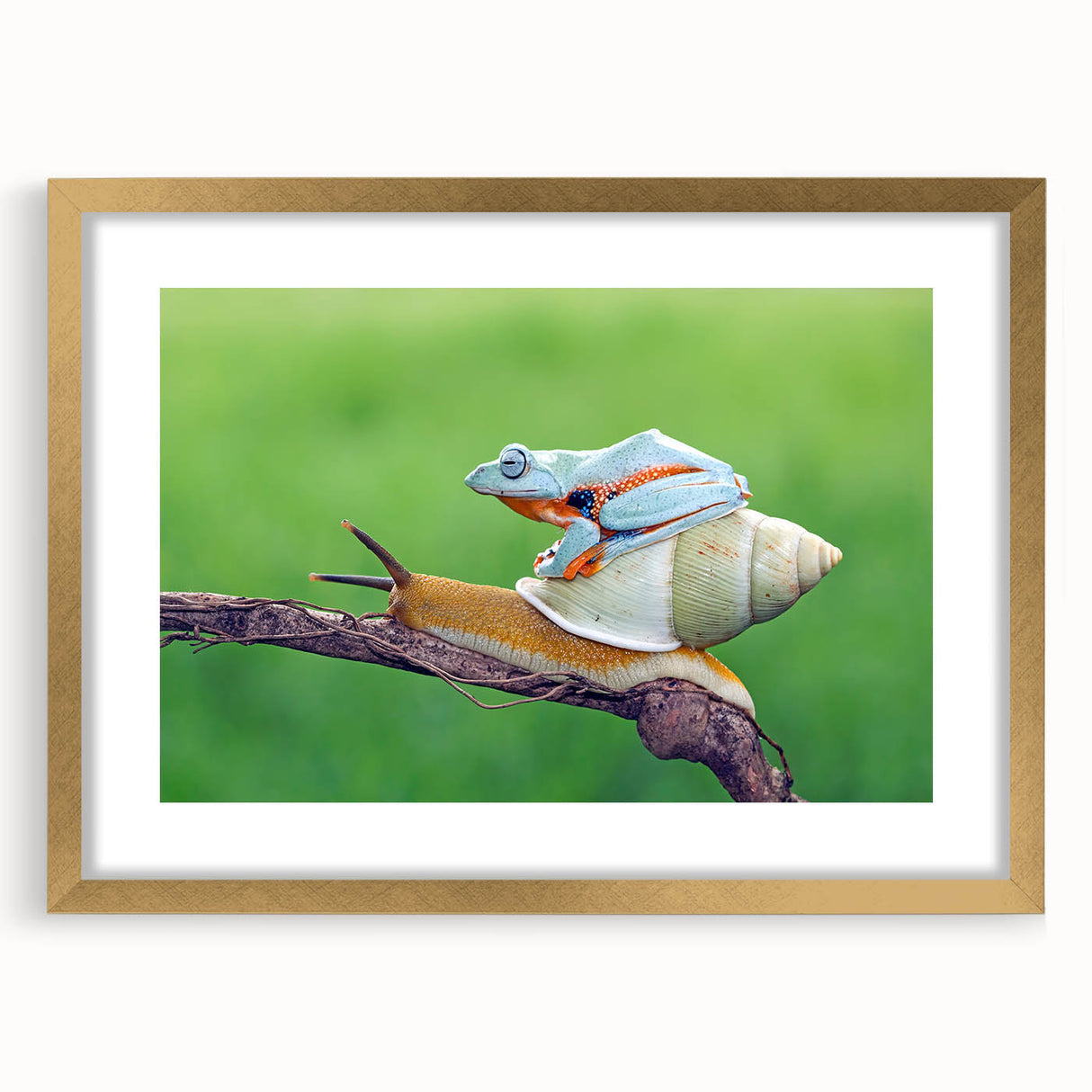 Extra large abstract art print of birds in flight, featuring textured gold frame and vibrant colors.