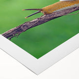 Art deco poster of a stylized bird in muted gold and black, on rolled canvas, suitable for dining room decor.