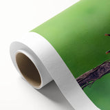 Art deco poster of vibrant birds on branches, rolled canvas, suitable as nursery wall art.