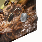 Large abstract wall art featuring a close-up of a bird, in muted earth tones on acrylic glass.