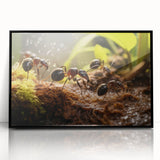 Large abstract wall art featuring a mid-century modernist style with vibrant tones on a framed acrylic.