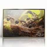 Mid-century modernist large art print of birds in flight, with muted earth tones on a framed acrylic.