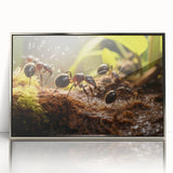 Mid-century modernist art of a bird in muted earth tones, acrylic print in silver frame, suitable for nursery wall decor.