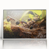 Art deco poster featuring a vibrant, stylized bird in blue and green tones on white acrylic, ideal for nursery wall art.