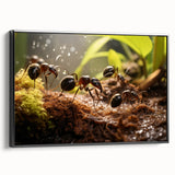 Black and white wall art featuring a close-up of a bird, presented on a framed canvas, suitable for bedroom decor.