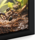 Extra large framed canvas featuring a close-up of a black bird, with vibrant, textured colors, ideal for living room decor.